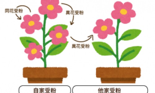 帕金森综合症和帕金森病的区别网 | 帕金森症与帕金森综合症区别,帕金森综合症和帕金森病的区别在哪里