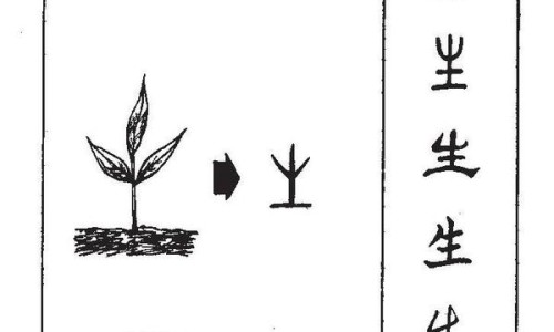 帕金森综合征和帕金森有什么区别-帕金森综合症和帕金森病的区别网 | 帕金森症与帕金森综合症区别,帕金森综合症和帕金森病的区别在哪里